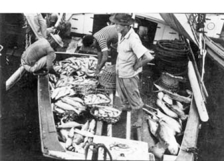 Pescadores vendendo peixes no Porto de Ver-o-Peso em Belém (PA) - jun. 1953 @IBGEcidades